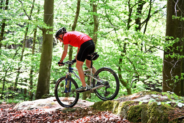 Mountainbiketouren im Bayerischen Wald